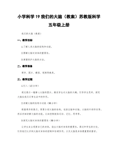 小学科学19我们的大脑(教案)苏教版科学五年级上册