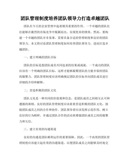 团队管理制度培养团队领导力打造卓越团队