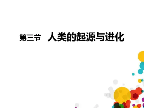《人类的起源和进化》PPT精品课件