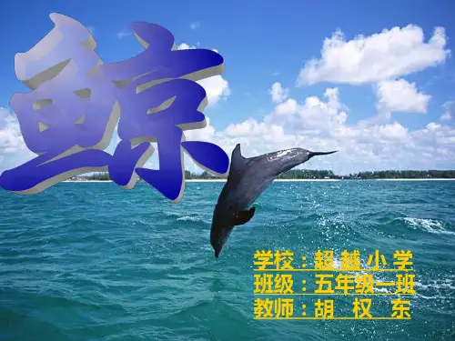 人教版五年级上册第九课鲸公开课ppt课件
