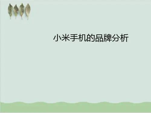 某手机品牌战略分析PPT课件(30页)