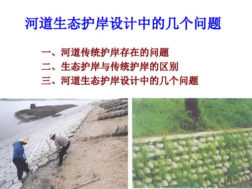 生态护岸