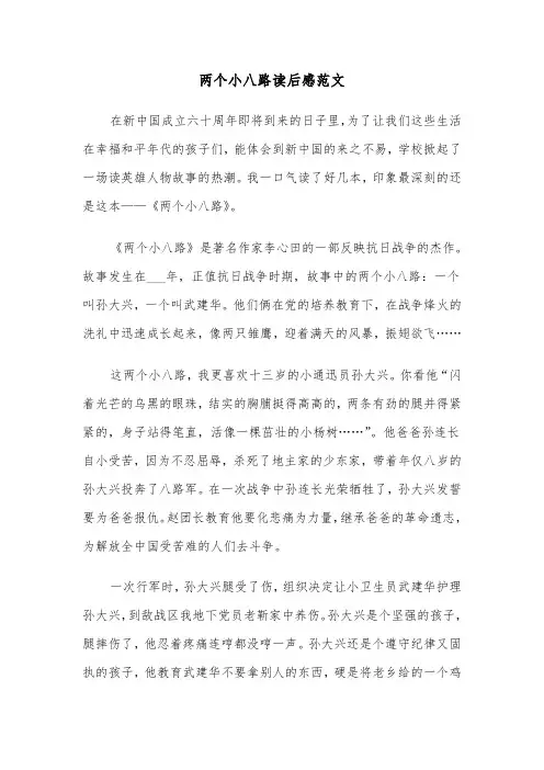 两个小八路读后感范文(六篇)
