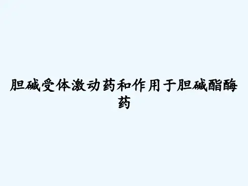 胆碱受体激动药和作用于胆碱酯酶药 PPT