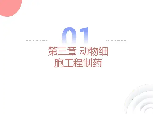 动物细胞工程制药