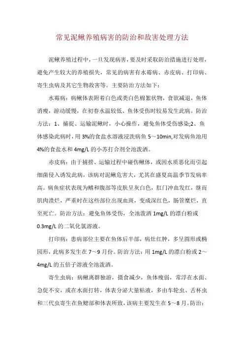 常见泥鳅养殖病害的防治和敌害处理方法