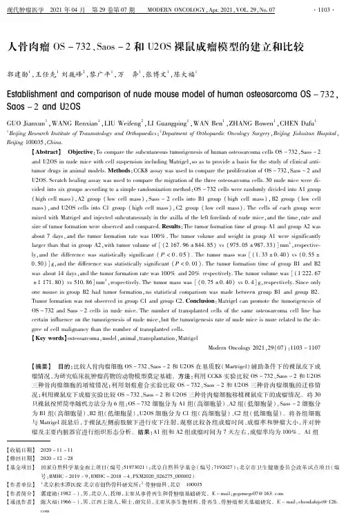 人骨肉瘤OS-732、Saos-2和U2OS裸鼠成瘤模型的建立和比较