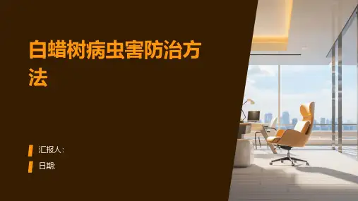 白蜡树病虫害防治方法