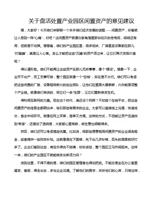 关于盘活处置产业园区闲置资产的意见建议