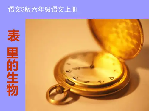 【语文S版】六年级上册语文课件：22 表里的生物 (共18张PPT)