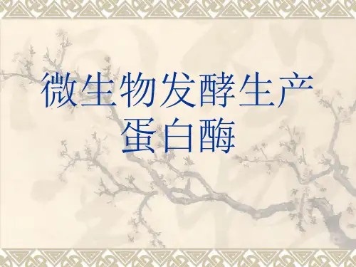微生物发酵生产蛋白酶