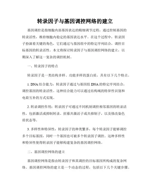 转录因子与基因调控网络的建立