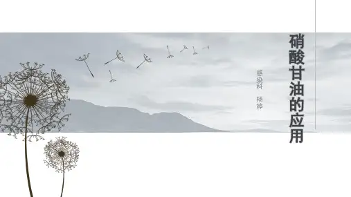硝酸甘油(PPT)