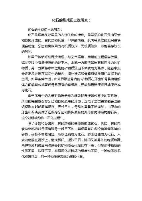 化石的形成初三说明文：