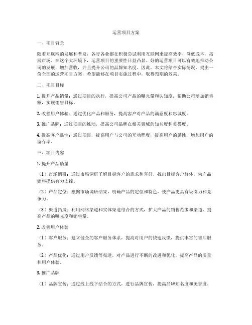 运营项目方案