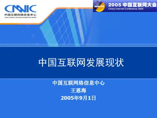 2005中国互联网发展现状