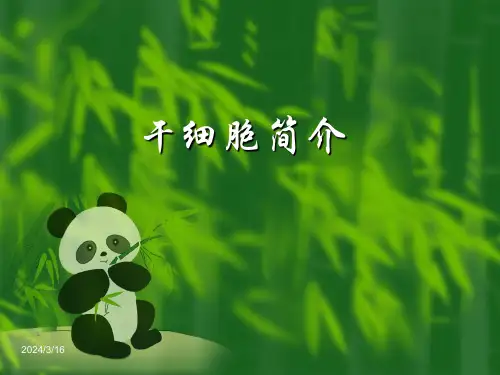 干细胞简介.ppt