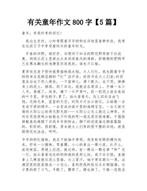 有关童年作文800字【5篇】