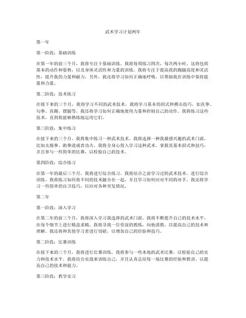 武术学习计划两年