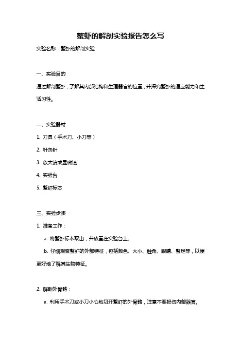 螯虾的解剖实验报告怎么写