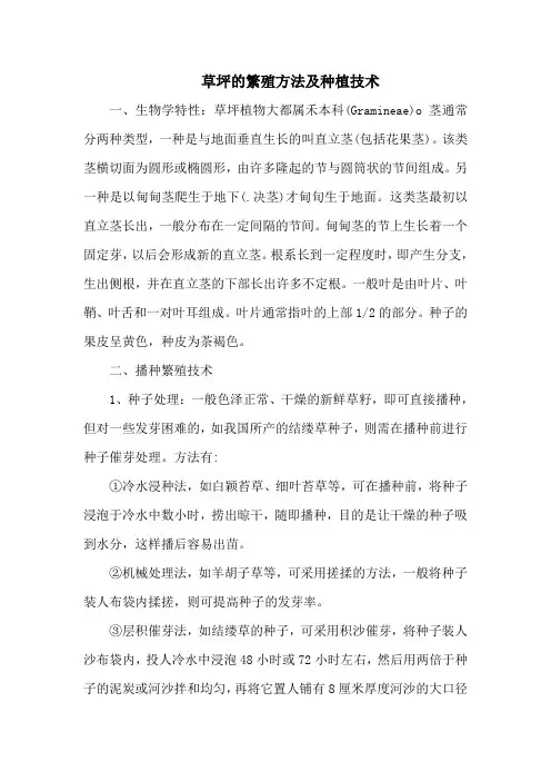 草坪的繁殖方法及种植技术