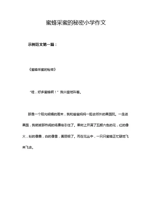 蜜蜂采蜜的秘密小学作文