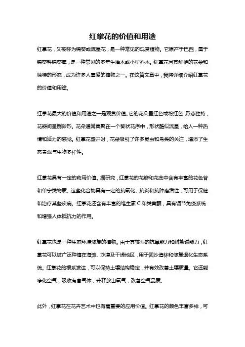 红掌花的价值和用途