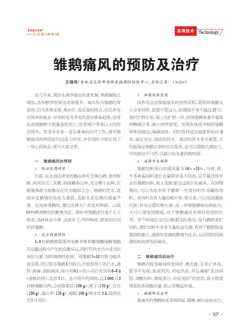 雏鹅痛风的预防及治疗