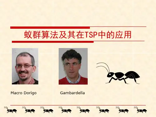 蚁群算法及其在TSP中的应用