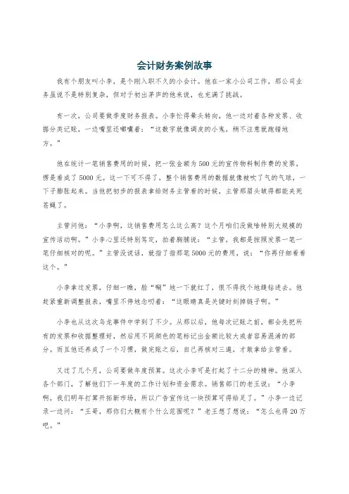会计财务案例故事