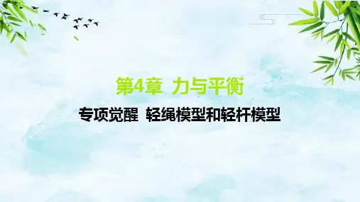 06-专项觉醒 轻绳模型和轻杆模型高中教材帮练习册物理必修第一册鲁教版