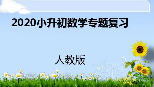 六年级下册数学课件-2020小升初专题复习：数与代数 第4课时人教新课标(2014秋) (共23张PPT)