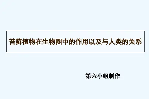生物人教版七年级上册学生展示《苔藓植物的作用以及与人类的关系》
