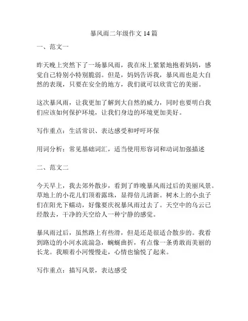 暴风雨二年级作文14篇