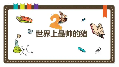 最新人教版小学数学一年级上册《数一数(世界上最帅的猪)》优质教学课件
