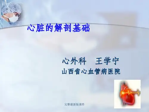 心脏解剖基础知识幻灯ppt课件