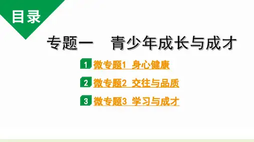 初中道德与法治优质课件 专题一  青少年成长与成才