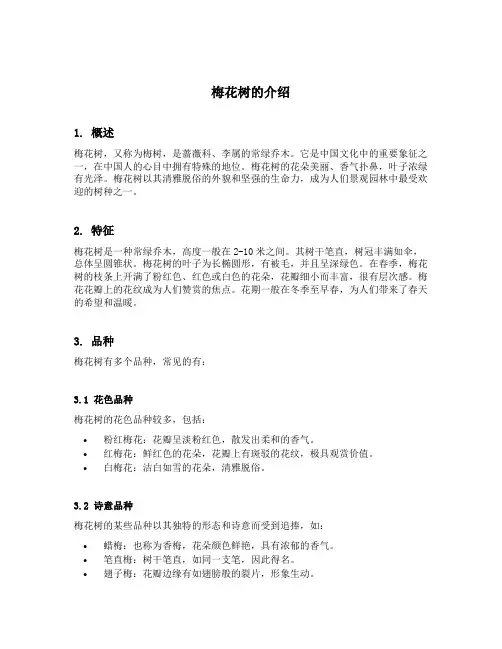 梅花树的介绍