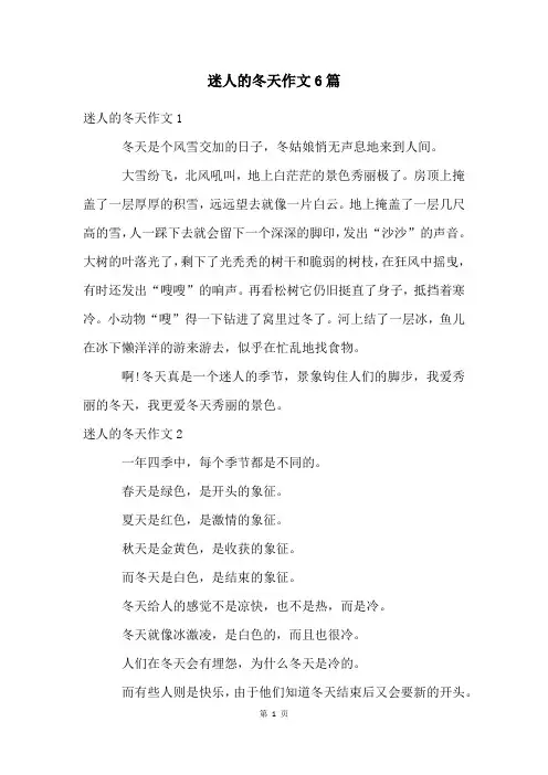 迷人的冬天作文6篇
