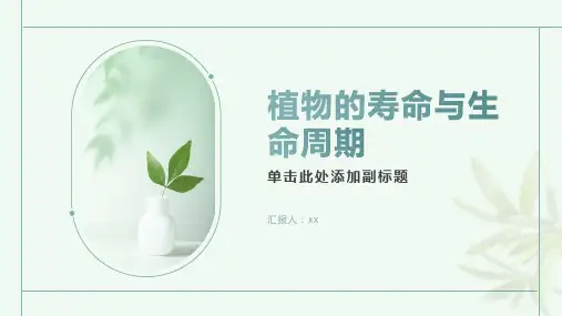 植物的寿命与生命周期