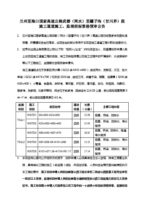 兰州至海口国家高速公路武都（两水）至罐子沟（甘川界）段
