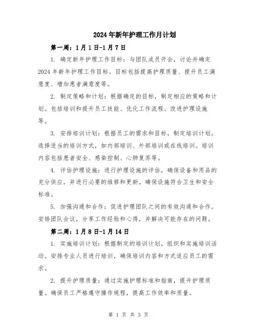 2024年新年护理工作月计划