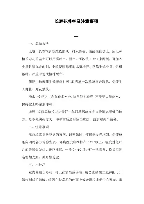 长寿花养护及注意事项