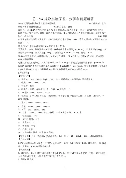 总RNA提取实验原理