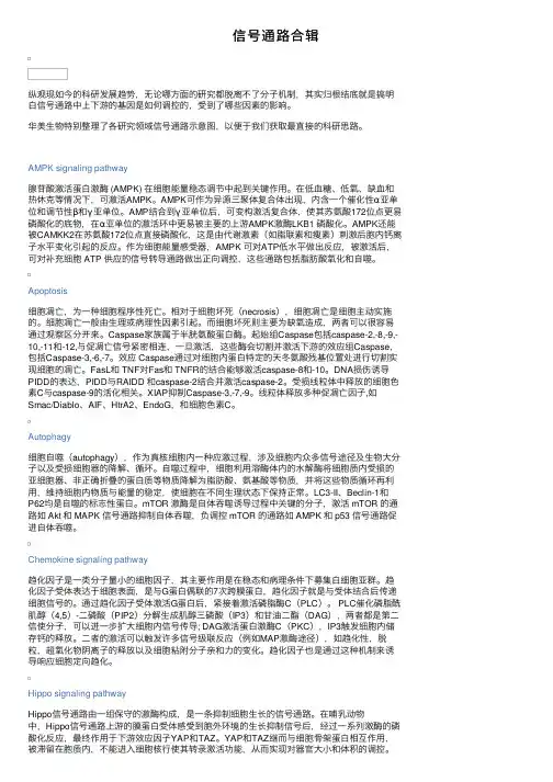 信号通路合辑
