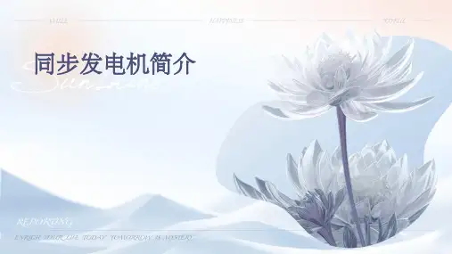 同步发电机简介