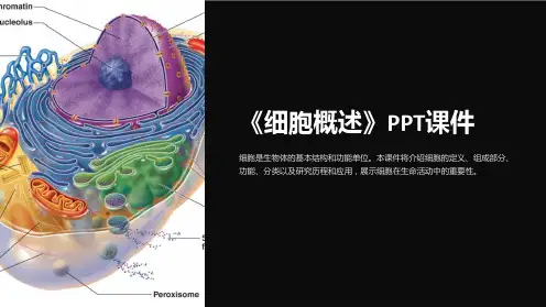《细胞概述 》课件