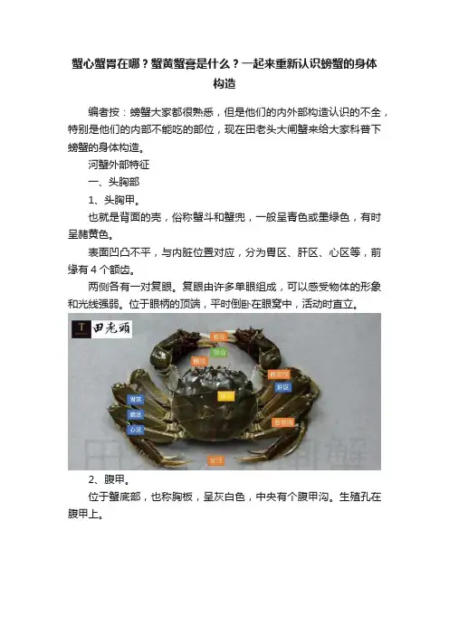 蟹心蟹胃在哪？蟹黄蟹膏是什么？一起来重新认识螃蟹的身体构造
