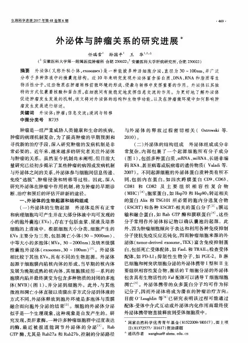 外泌体与肿瘤关系的研究进展