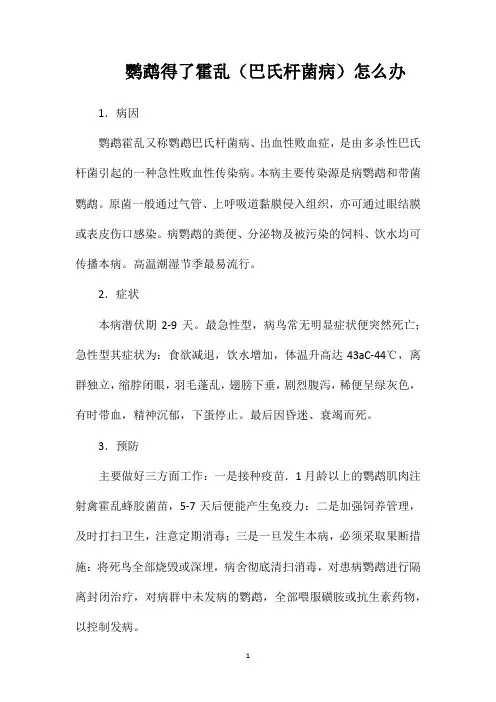 鹦鹉得了霍乱(巴氏杆菌病)怎么办